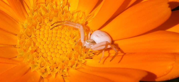 You need to quit Disulfiram if you notice such major side impacts as lightheadedness, intense diarrhea, seizures, harsh exhaustion, vomiting, allergy, loss of sychronisation or dark pee and make sure you speak to your medical professional regarding the future of your therapy and those negative effects in specific.