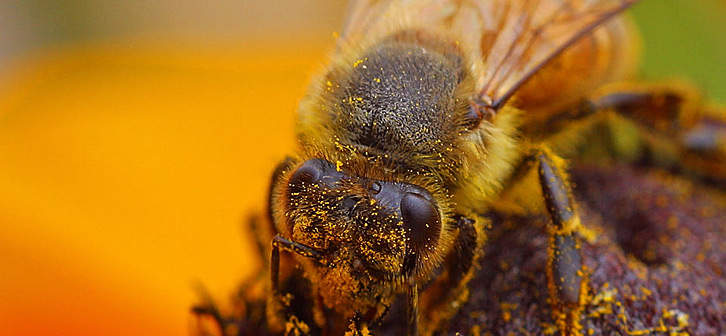 We likewise understand you wish to obtain the most out of your therapy regarding Antabuse, and this is why you are seeking many affordable rates for your Antabuse and fastest delivery, in addition to convenient payment options and reduced rates that can conserve you the requirement of touching your cost savings.